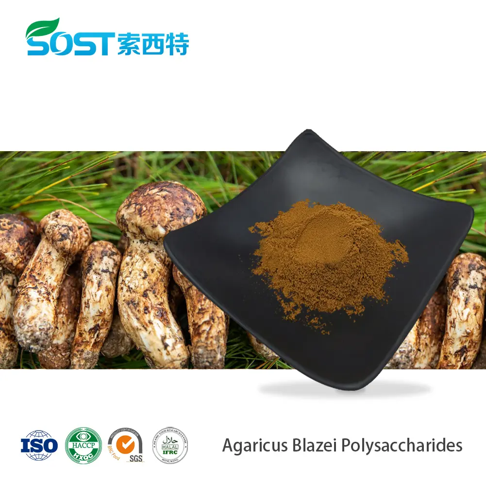 Agaricus Blazei Polysaccharides.jpg