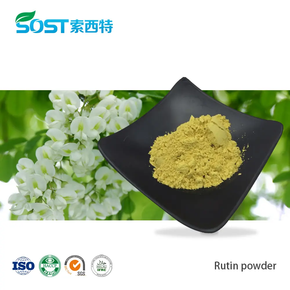 Rutin powder芦丁.jpg