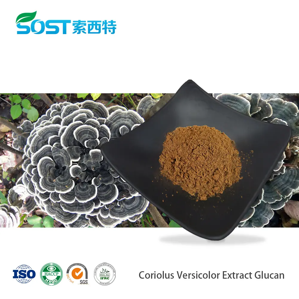 Coriolus Versicolor Extract Glucan.jpg