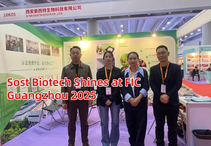 Sost Biotech Shines at FIC Guangzhou 2025