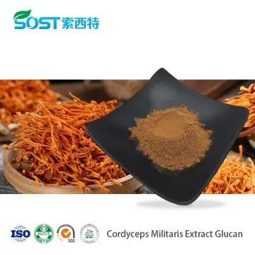 Cordyceps Militaris Extract Glucan