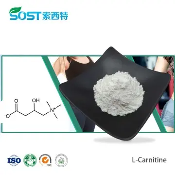 L-Carnitine 541-15-1 99% Powder