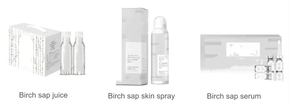 birch sap powder benefits