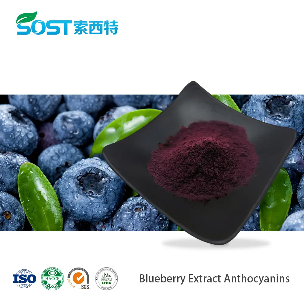 Blueberry Extract Anthocyanins.jpg