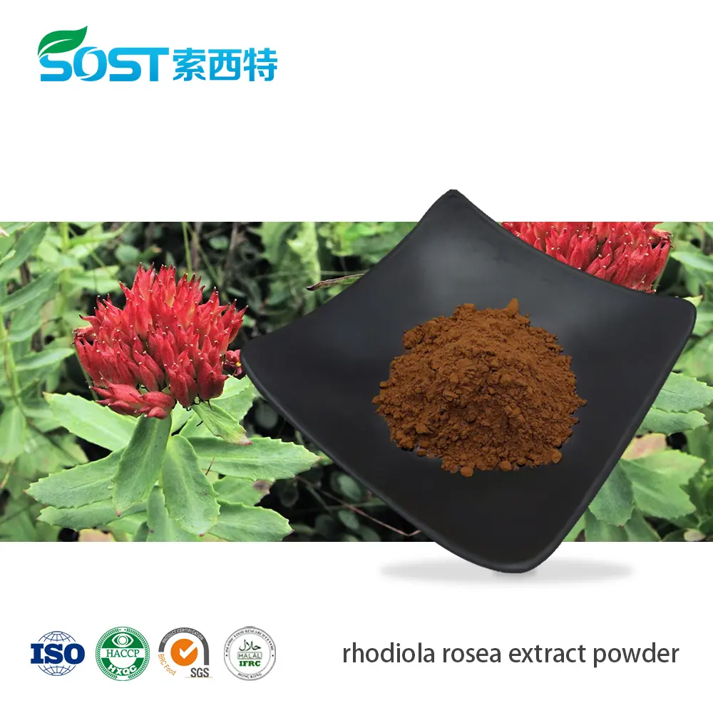 rhodiola rosea extract powder红景天提取物.jpg