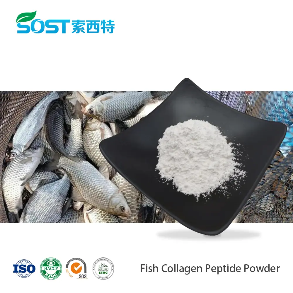 Fish Collagen Peptide Powder.jpg