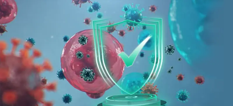 glucoraphanin