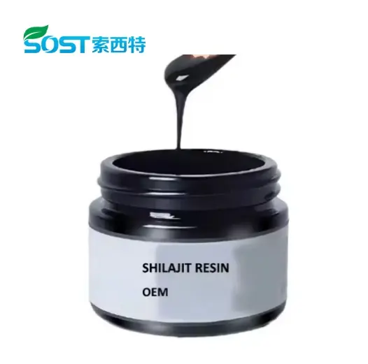 Shilajit Resin Extract.jpg