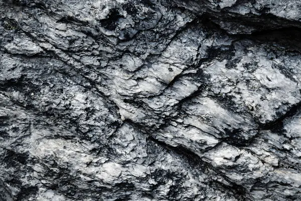 Himalayan Shilajit
