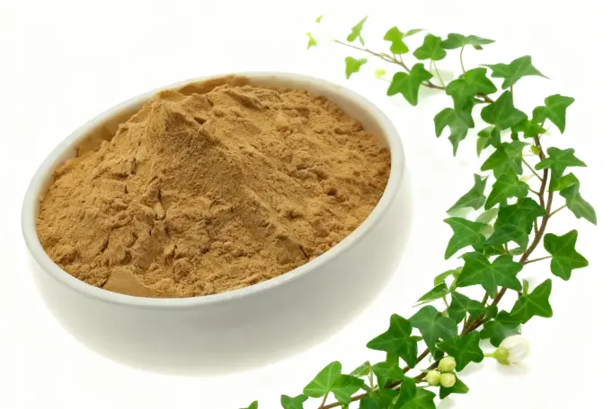 ivy leaf extract powder