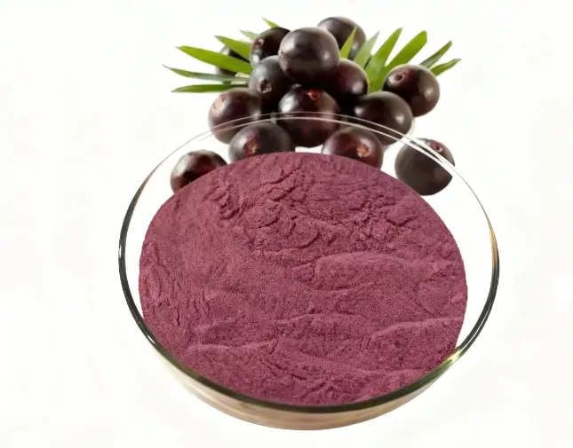 wholesale price Acai Berry Juice Powder