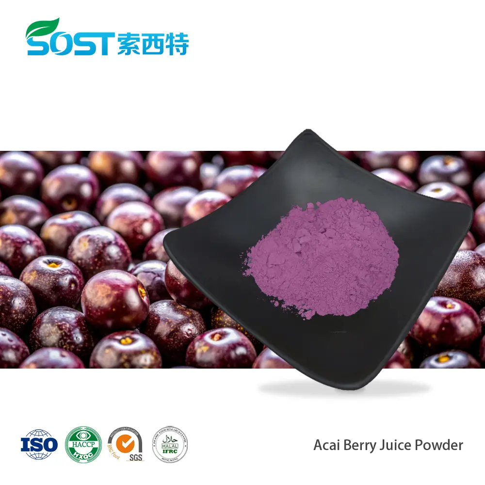 Acai Berry Juice Powder巴西莓果汁粉.png