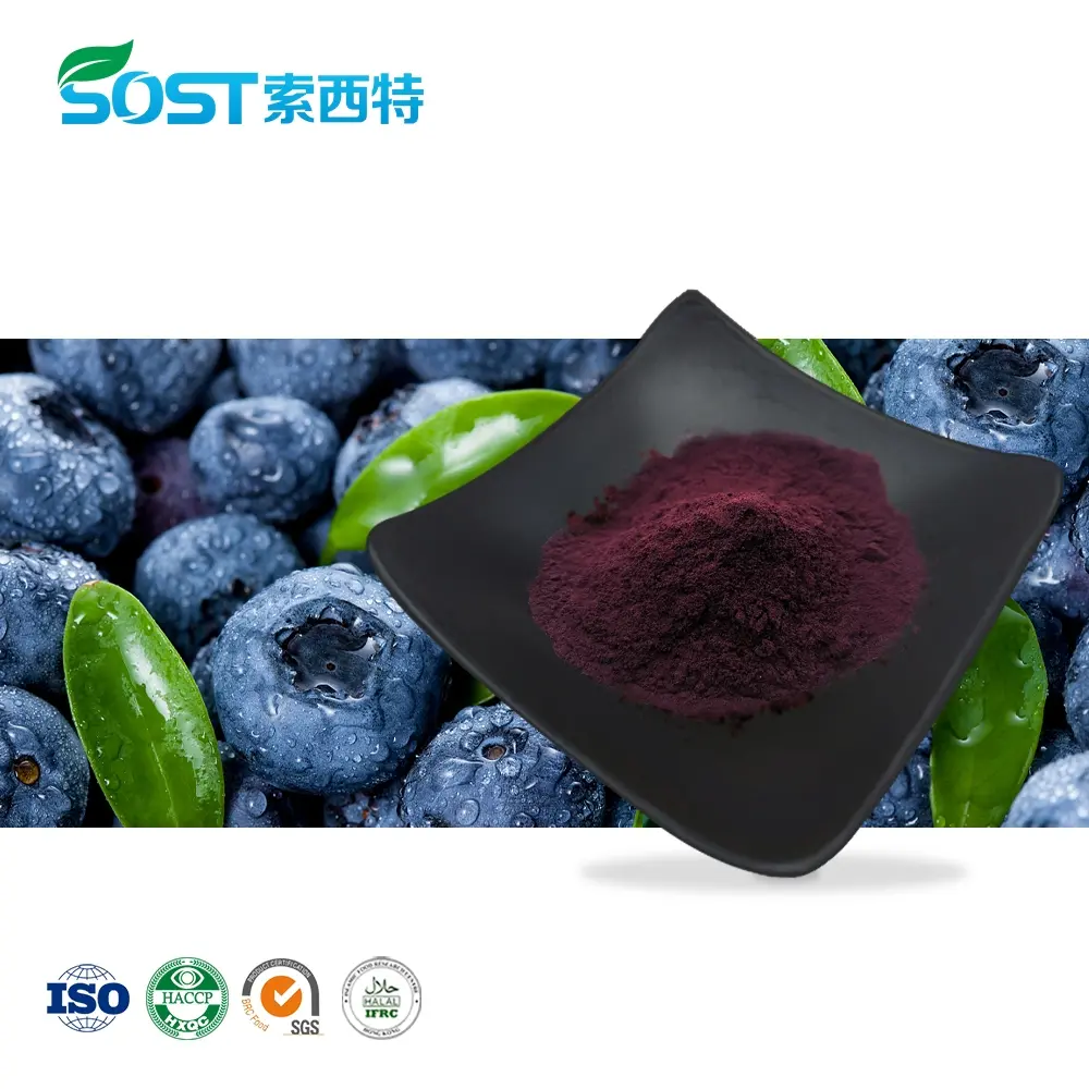 Wild Blueberry Powder.jpg