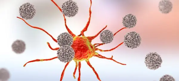 Apigenin: a natural compound with good health benefits