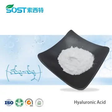 Hyaluronic Acid Powder
