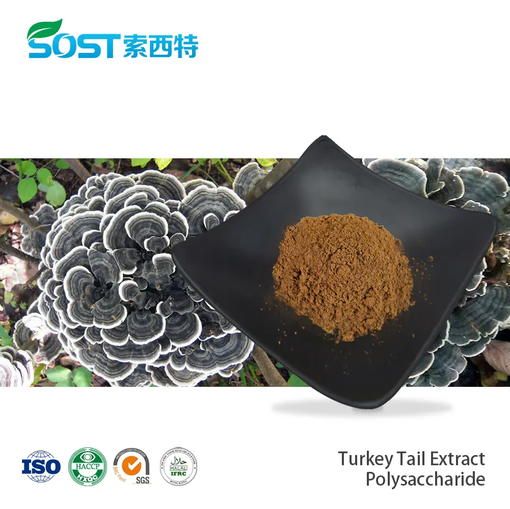 Turkey Tail Extract Polysaccharide.jpg