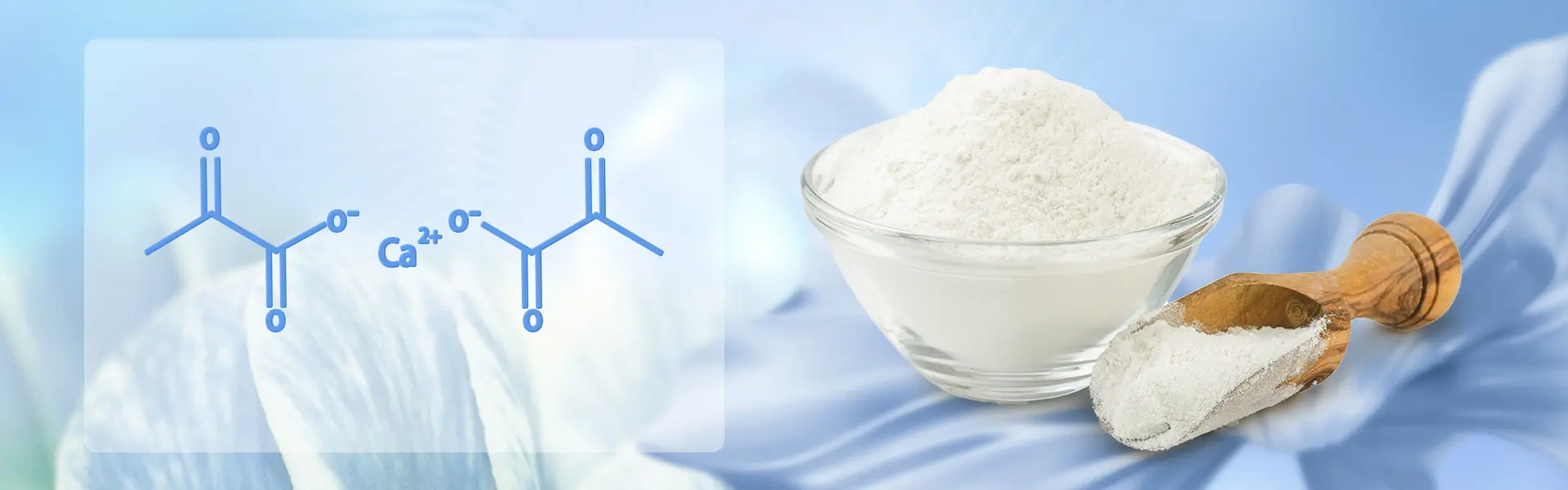 Calcium Pyruvate function