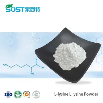 L-lysine Powder