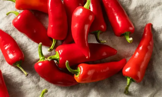 hot pepper Capsaicin