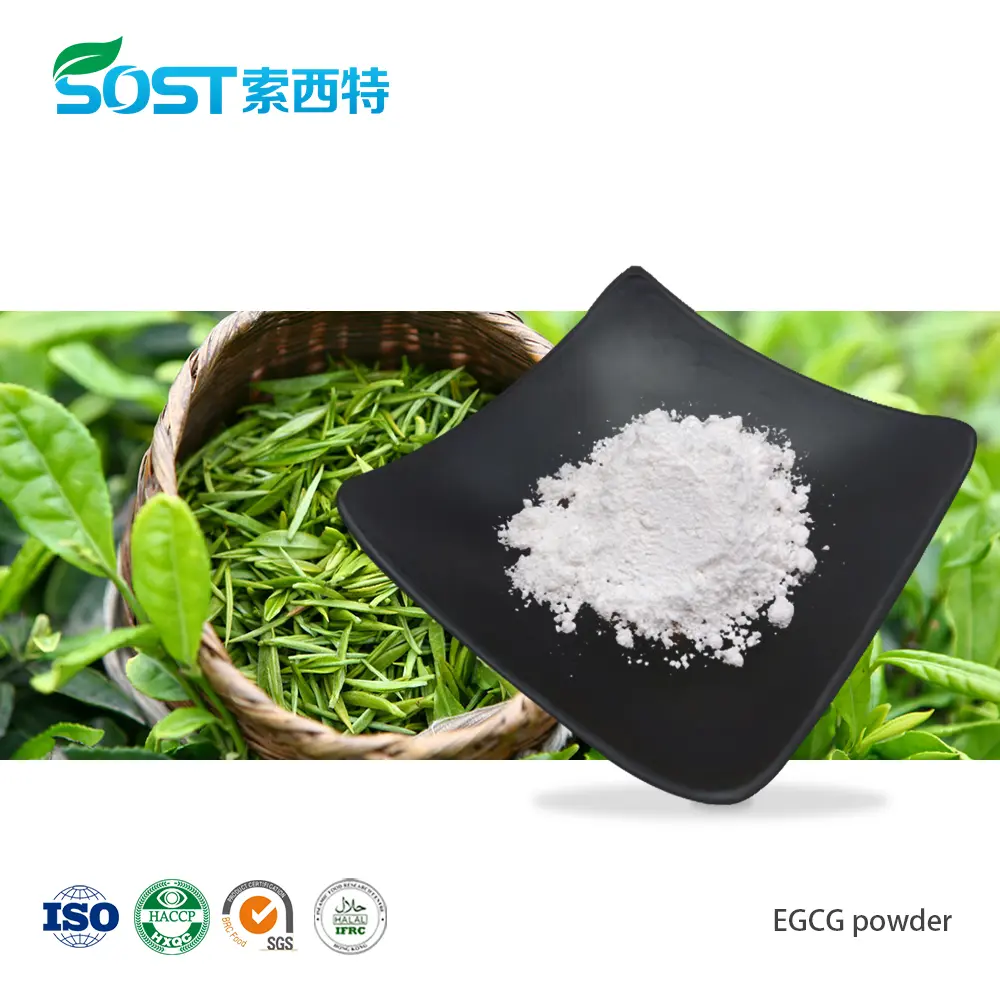 EGCG powder儿茶素.jpg