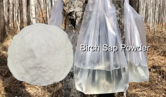 Birch Sap Powder