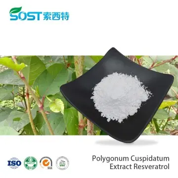 Polygonum Cuspidatum Extract Resveratrol