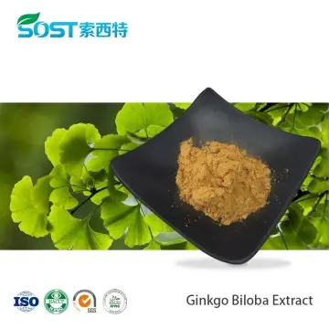 Ginkgo Biloba Leaf Extract Powder