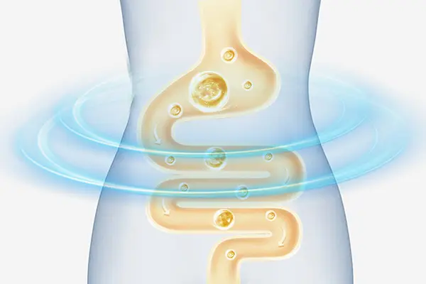 What is biotin used for in the body