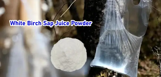 white birch sap juice powder