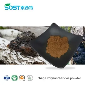 Chaga Polysaccharide Powder​