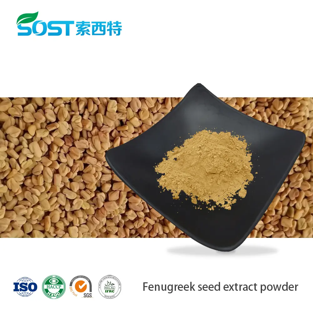 Fenugreek seed extract powder.jpg