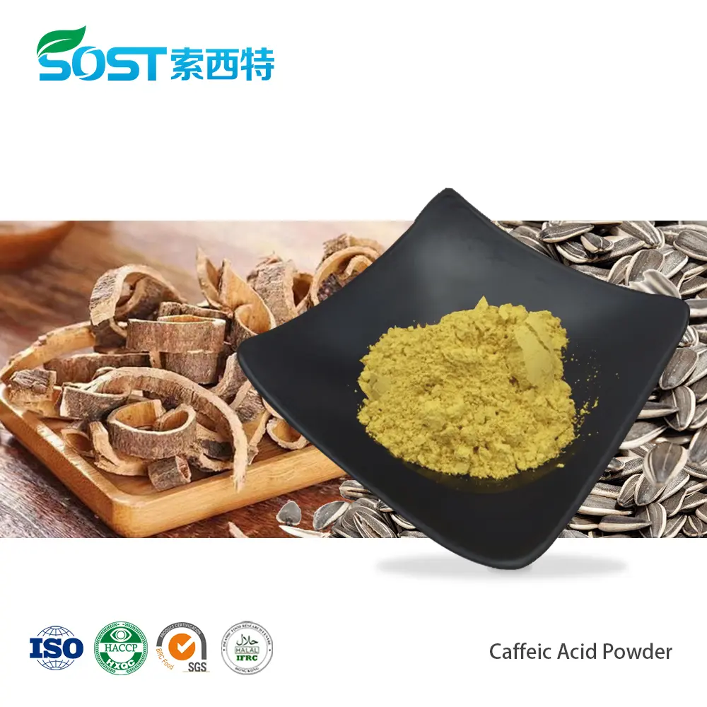 Caffeic Acid Powder.jpg