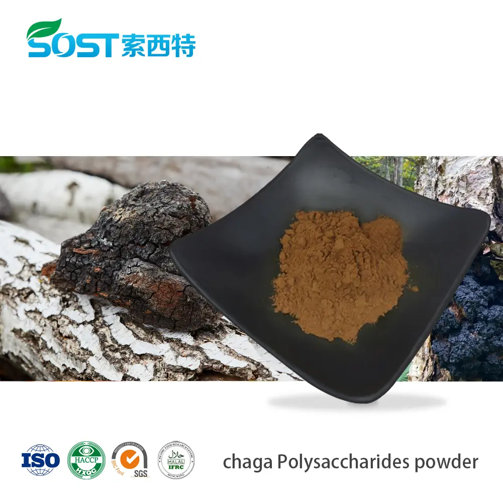 chaga Polysaccharides powder.jpg